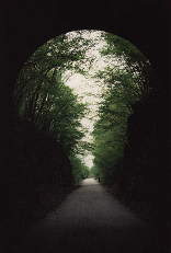 Tunnel on the Katy Trail