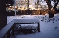 Ah, January in the Ozarks -- snow-filled back yard
