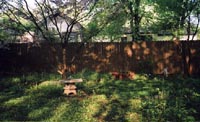 A general view of my yard, last summer